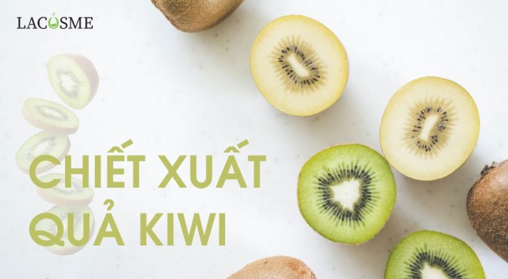 chiết xuất quả kiwi