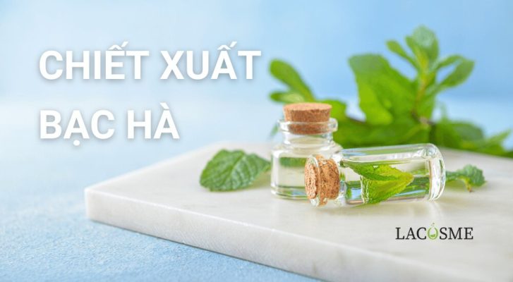 Chiết xuất bạc hà: Bí quyết cho sức khỏe và sắc đẹp