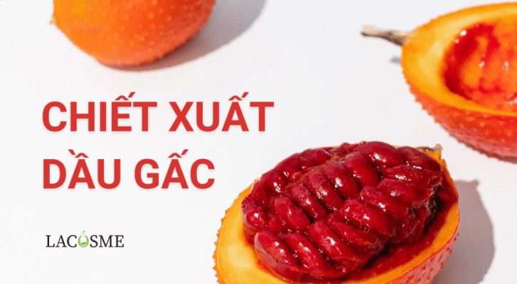 Chiết xuất dầu gấc: Bí quyết cho sức khỏe và sắc đẹp